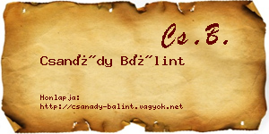 Csanády Bálint névjegykártya